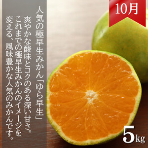 【発送月固定定期便】みかん好きに食べてほしい 2種のみかん定期便　各5kg【贈答用・秀品】全2回【配送不可地域：離島・北海道・沖縄県】【4053555】