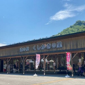 先行受付!　桃【川中島白桃】　(大玉特秀品)　約2kg　6～9個入　こだわり農家厳選!【配送不可地域：離島】【1525328】