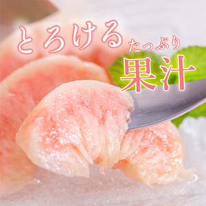 先行受付! 桃の王様【白鳳】 特秀品 食べきりやすい3個入り【配送不可地域:離島】【1525339】