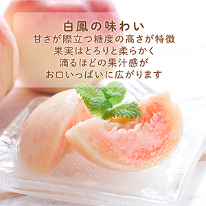 先行受付! 桃の王様【白鳳】 特秀品 食べきりやすい3個入り【配送不可地域:離島】【1525339】