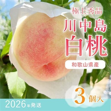 先行受付!　【川中島白桃】大玉特秀品　食べきりやすい3個入り　こだわり農家厳選!【配送不可地域：離島】【1525341】