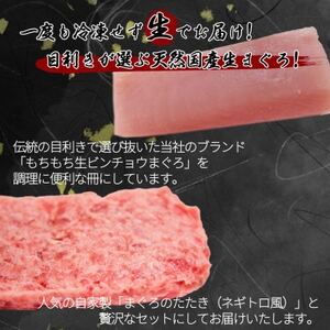 那智勝浦直送!天然もちもち生ビン長まぐろとたたきセット　2人前【配送不可地域：離島・北海道・沖縄県・東北・関東・九州】【1537320】