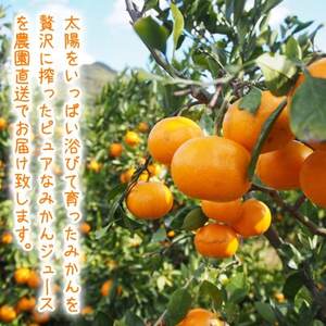 みかん農家が作った 温州みかんジュース 果汁100%ストレート720ml×2本 和歌山県【1542296】