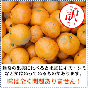 2026年1月~発送 訳あり・ご家庭用 どの坂果樹園の熟成早生みかん 約5kg(大玉中心)【1556451】