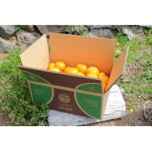 主井農園の高級松兵衛みかん　5kg【1559730】