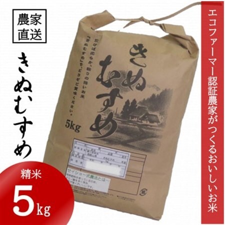★令和7年産★ 米 きぬむすめ 精米 5kg(令和7年10月～順次発送)【1585419】