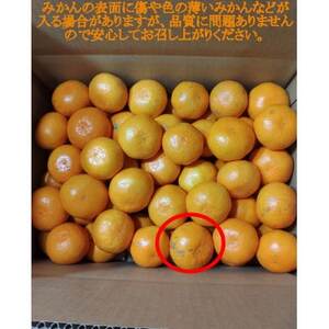 有田・庄助みかん約3kg(家庭用品・サイズ混合)【1588754】