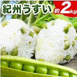 和歌山県産☆紀州うすい　秀2kg【1590630】