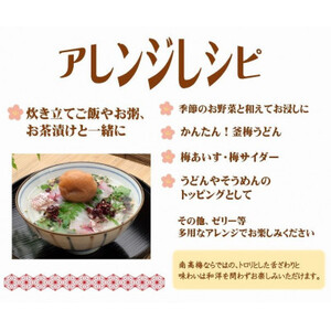 紀州南高梅しそ塩分約15%(500g)【1593618】