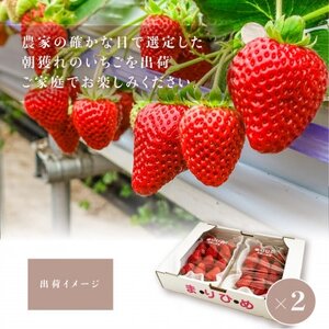 まりひめイチゴ12粒～15粒×4パック【配送不可地域：離島】【1603380】