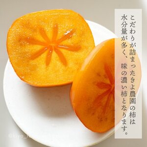 先行受付 柿(種無し) 赤秀品大玉 6個入 約1.8kg【配送不可地域:離島】【1616656】