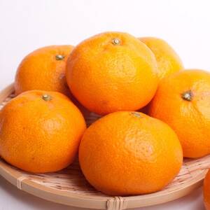 家庭用 大きな有田みかん1kg+250g(傷み補償分)【光センサー選果】【訳あり】【配送不可地域：離島・北海道・沖縄県】【1625391】