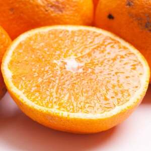 家庭用 不知火10kg+250g(傷み補償分)【デコポンと同品種・人気の春みかん】訳あり【配送不可地域：離島・北海道・沖縄県】【1633694】