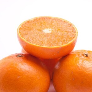 厳選 せとか5kg+250g(傷み補償分)【柑橘・春みかんの王様】【光センサー選果・食べ頃出荷】【配送不可地域:離島・北海道・沖縄県】【1649455】