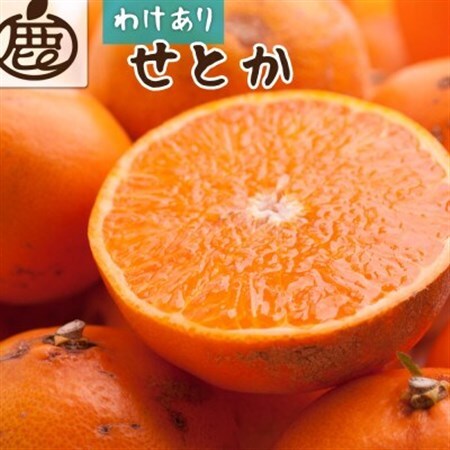 家庭用 せとか10kg+250g(傷み補償分)【柑橘・春みかんの王様】【訳あり】【光センサー選果】【配送不可地域：離島・北海道・沖縄県】【1649468】