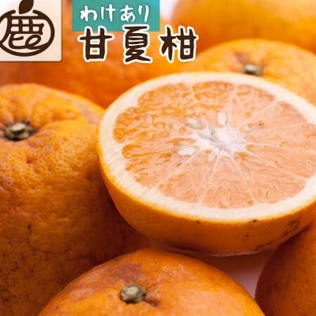 家庭用 甘夏柑2.5kg+250g(傷み補償分)【初夏のみかん・旬の果物】【有田産】【訳あり】【配送不可地域：離島・北海道・沖縄県】【1653784】