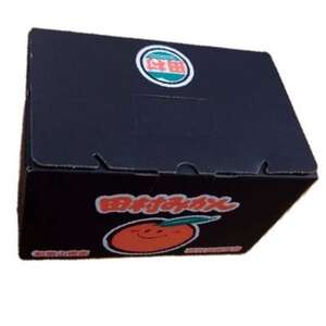 【ブランドみかん】田村みかん約3kg(S.M.Lサイズおまかせ・秀品)【日高町】【1657411】