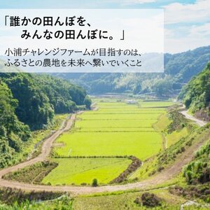 2025年産(令和7年産)!日高町小浦の無洗米「小浦れんげ米」3kg【1680199】