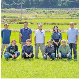 2025年(令和7年)産!日高町小浦の無洗米「小浦れんげ米」5kg【1680206】