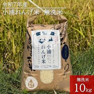 2025年産(令和7年産)!日高町小浦の無洗米「小浦れんげ米」10kg【1680207】
