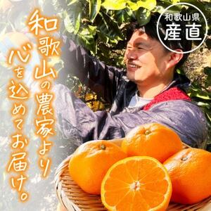 【発送月固定定期便】わかやま旬のくだもの【S】全12回【配送不可地域：離島・北海道・沖縄県】【4079420】