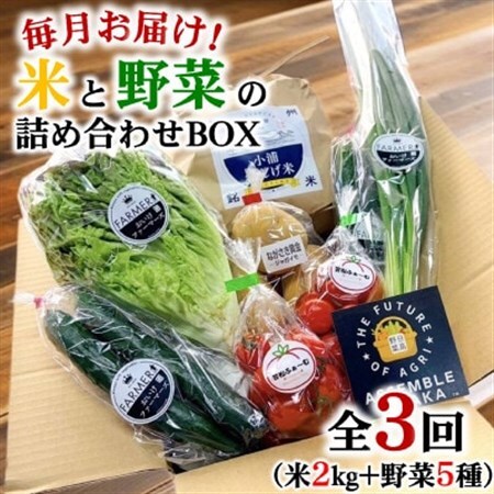 【毎月定期便】産地直送!米と野菜の詰め合わせ定期便【小浦れんげ米(精米)2kg+新鮮野菜5種】全3回【配送不可地域：離島】【4080160】