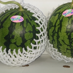 2026年度発送【産直】和歌山産小玉すいか「ひとりじめ7」2玉合計約3.5kg以上【日高町】【1218061】