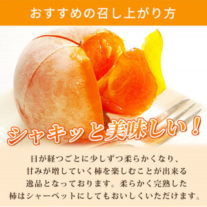 【先行受付】和歌山秋の味覚 平核無柿(ひらたねなしがき) 約2kg 化粧箱入【日高町】【1217239】