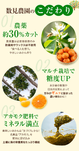 【今年が味わう最後のチャンス！】ゆらみかん 9kg  ※2025年12月10日～25日発送予定 【kzmn017】