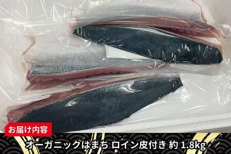 【くら寿司】オーガニック はまち ロイン 皮付き 約1.8kg オリジナルブランド 期間限定