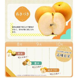梨 3玉 化粧箱入 紀州和歌山 かつらぎ産