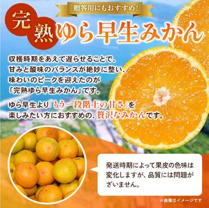 【2026年秋・発送分!】完熟ゆら早生みかん 3kg ※2026年11月上旬頃より順次発送予定 【kzmn008】