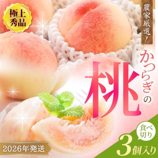【先行予約】【厳選】あふれる果汁で口いっぱい！ 食べきりサイズ 和歌山県産 桃 3玉 【2026年6月末頃～2026年8月末頃に順次発送予定】（お届け日指定不可）/ 和歌山 桃 モモ フルーツ もも 白桃 果物 くだもの【kgr002A】