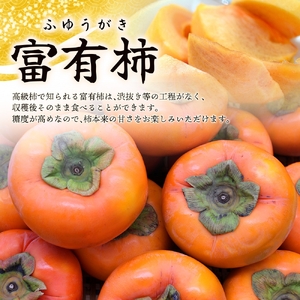 富有柿 2kg~2.5kg 6個入 至高の逸品 約1000個に1個!【先行予約】【2026年10月末頃から発送】【kgr013】