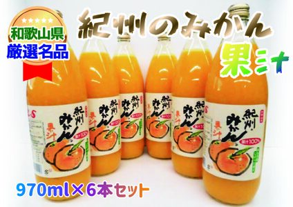 紀州のみかん果汁（和歌山県産） 970ml×6本セット【KF6】