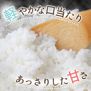 キヌヒカリ 5kg（2025年産）令和7年産 【sml101E】
