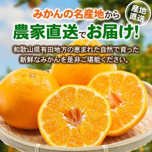 ＜先行予約＞厳選はるみ5kg+250g（傷み補償分）＜2月より発送＞デコポンの姉妹品種 新食感春みかん【ikd194B】