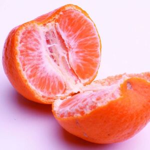 <先行予約>厳選ポンカン2.5kg+250g(傷み補償分)<1月より発送> 光センサー選別 / みかん 果物 くだもの フルーツ 【ikd188A】