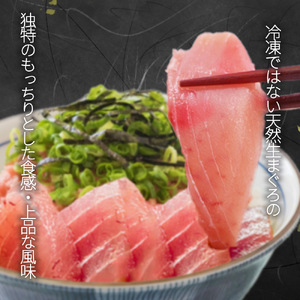 那智勝浦直送!天然もちもち生ビン長まぐろとたたきセット 4人前【UT100】【uot805】