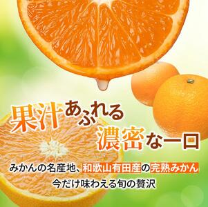 家庭用 有田みかん サイズ混合(2S~2L) 10kg+250g ※11月より発送【ikd175B】
