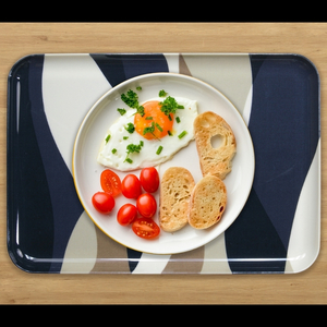 タツクラフト NRトレー M 33cm ウェーブ 2枚組 【Tk159】【ttcf036】