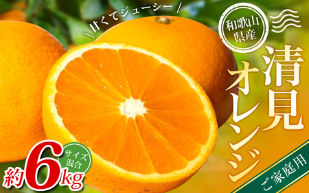 【家庭用】 森本農園の手選別 清見オレンジ 約6kg 和歌山県産 サイズ混合 【2026年2月上旬～5月中旬頃に順次発送】 きよみ 清見 柑橘 ご家庭用 期間限定 由良町 果物 フルーツ 和歌山県【mrmt038A】