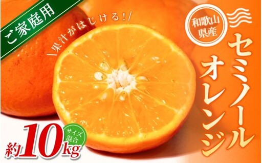 【家庭用】 森本農園の手選別 セミノールオレンジ 約10kg 和歌山県産 サイズ混合 【2026年4月中旬～5月中旬頃に順次発送】【RN37】【mrmt037】