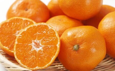 秀品 和歌山 有田みかん 約4kg 2Lサイズ【tec915B】