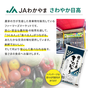 【7日以内発送】きぬひかり5kg ※お届け日指定不可※ 【jahd008A】