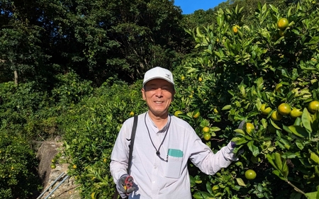 【来シーズン先行予約】樹上完熟さつき八朔　和歌山 由良産　秀品  10kg　贈答用 ※2026年4月頃に順次発送予定 / はっさく 柑橘 フルーツ 果物 くだもの 食品 人気 おすすめ 送料無料 由良町 【ksmt002】 