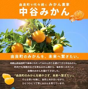 温州みかん 5kg 2S～2Lサイズ混合 ※2025年12月上旬～順次発送  【nktn009-sp-12】 