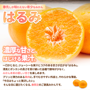 はるみ みかん 約10kg S～4Lサイズ混合 はるみ【nktn013】 