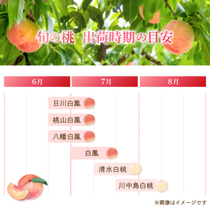 桃 旬の もも 和歌山県産 5～6玉入り 秀品 ※2026年6月下旬より順次発送【mtgn043】