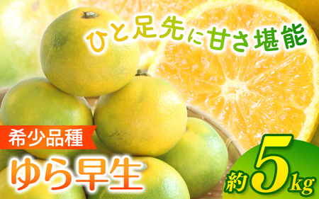 【2026年秋・発送分！】 ゆら早生 ご家庭用 みかん 約5kg 早生 サイズ混合【nuk109E】
